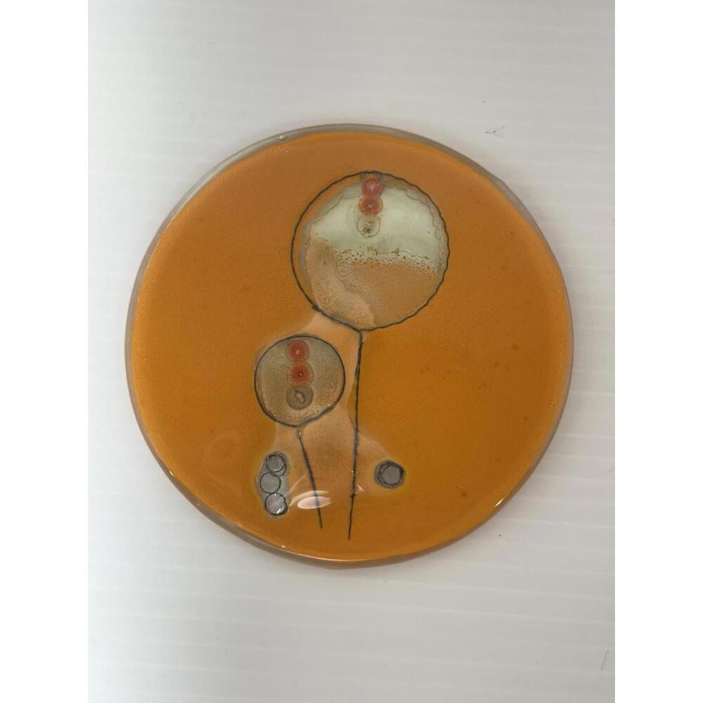 Fused‎ Art Glass Plate Disk Oranges Balloons Flat Plate Abstract